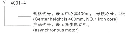 西安泰富西玛Y系列(H355-1000)高压YE2-315S-4三相异步电机型号说明